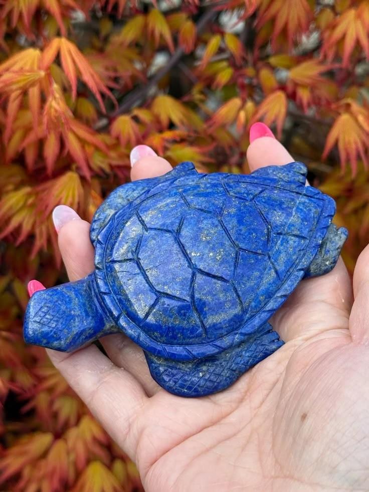Lapiz Lazuli Tortoise