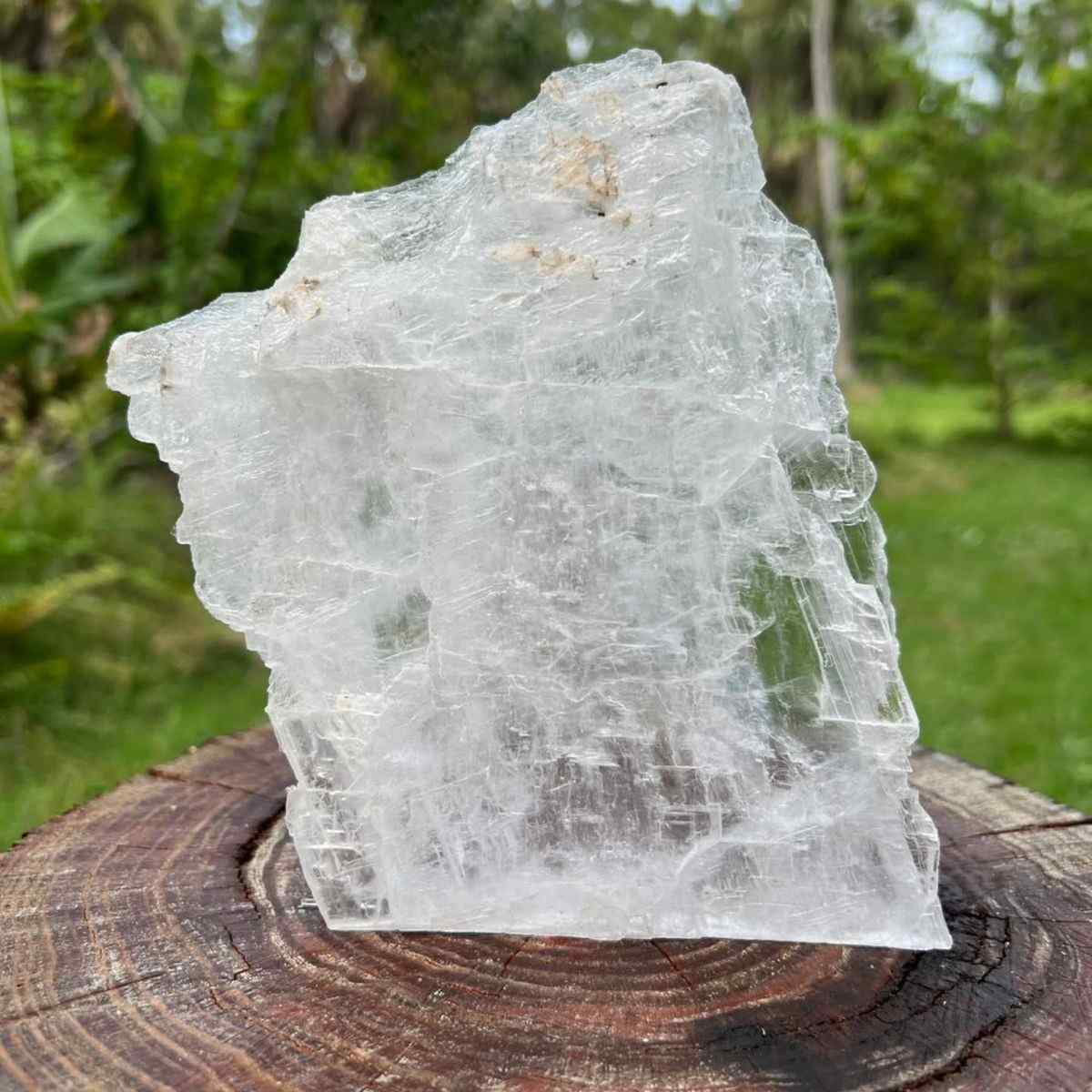 Selenite Raw Crystal